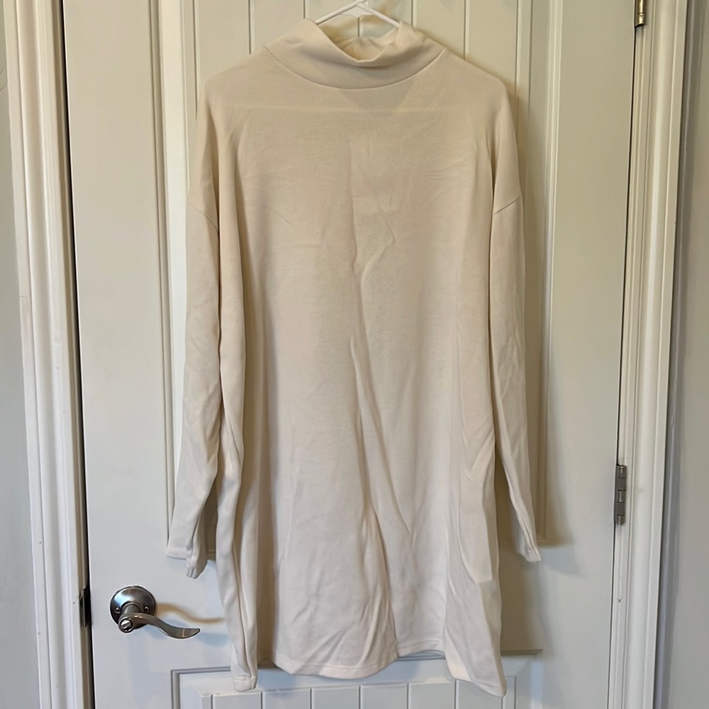 Zara sweater dress